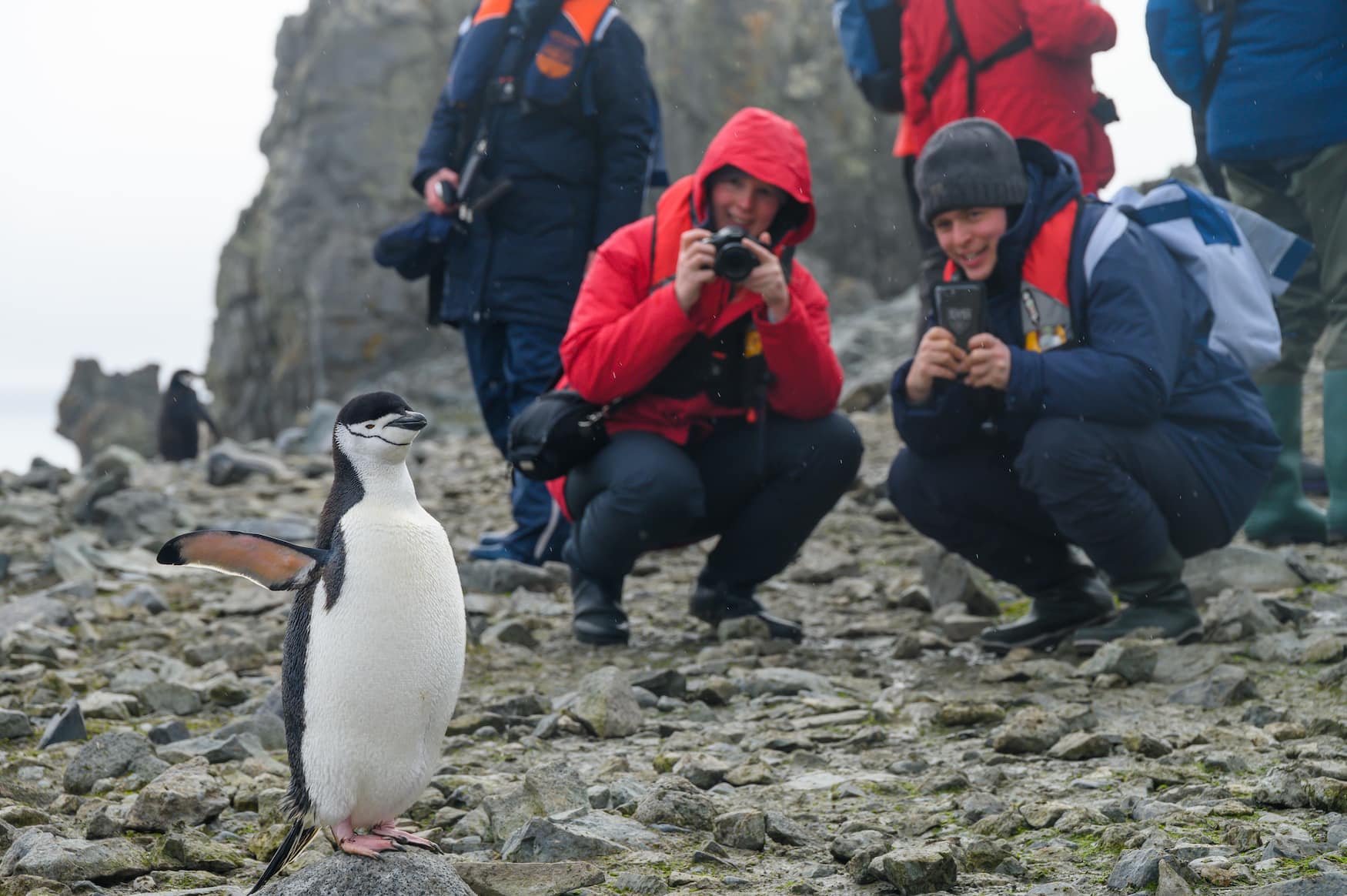 Touristen beim Landgang in der Antarktis
