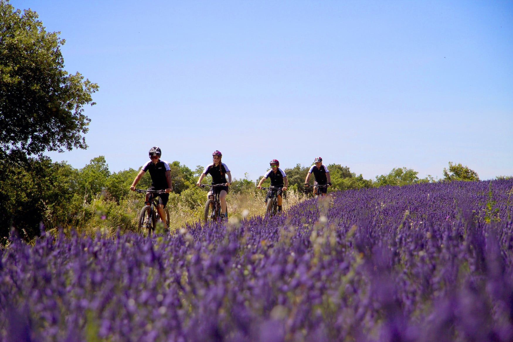 Mountainbiken in der Provence