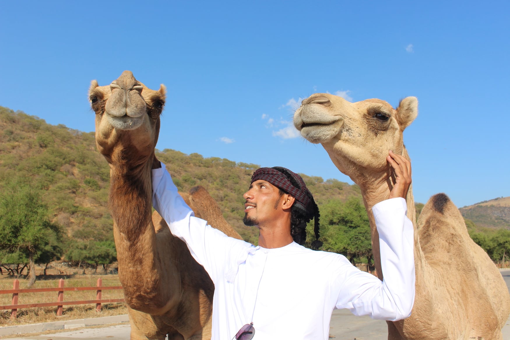 Guide Mahad mit Kamelen