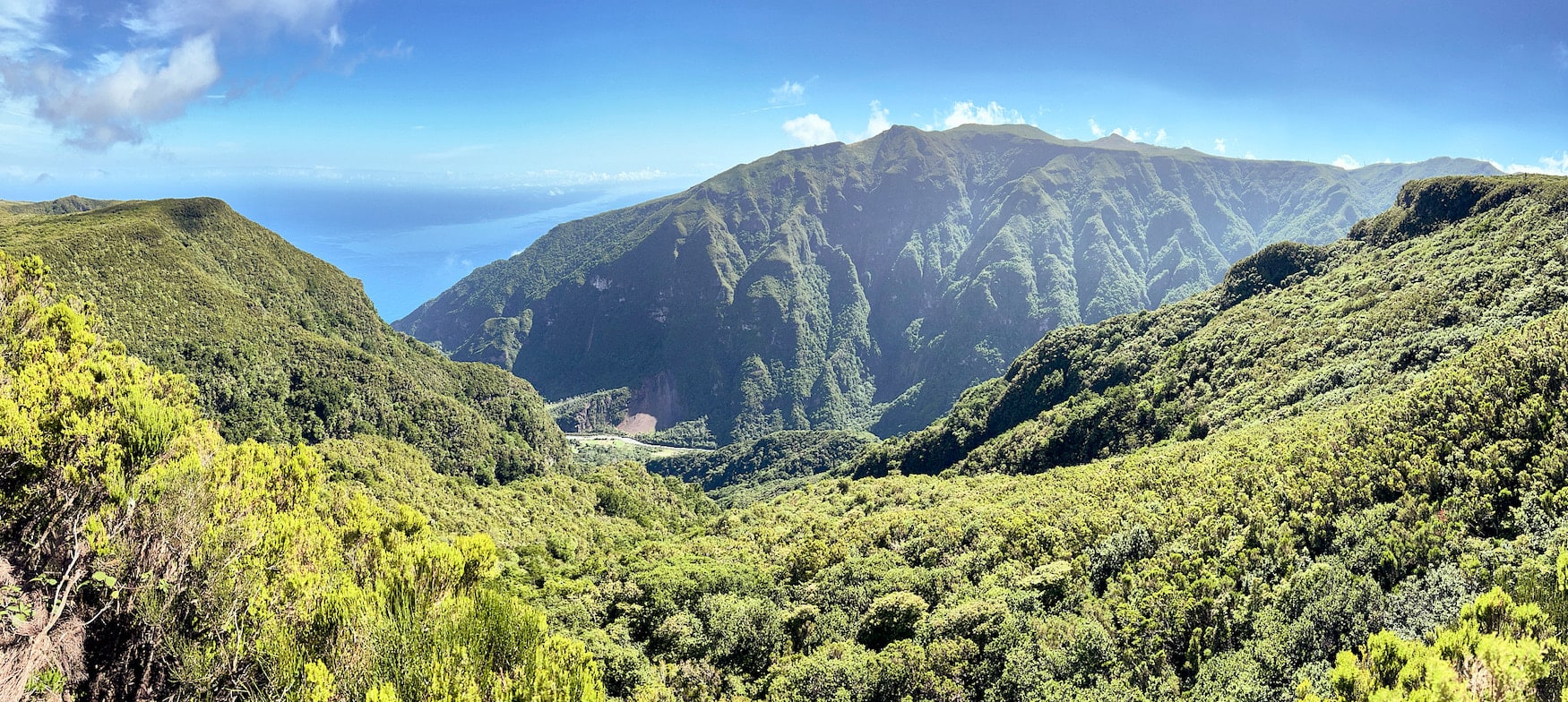 Lorbeerwald auf Madeira