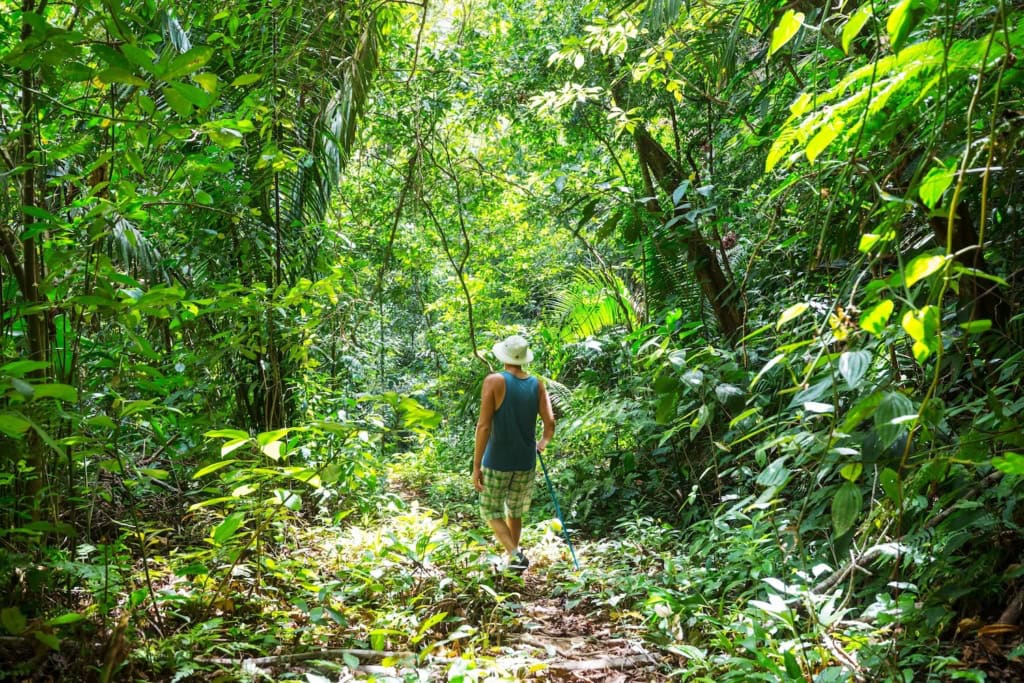 Wanderer im Regenwald von Belize