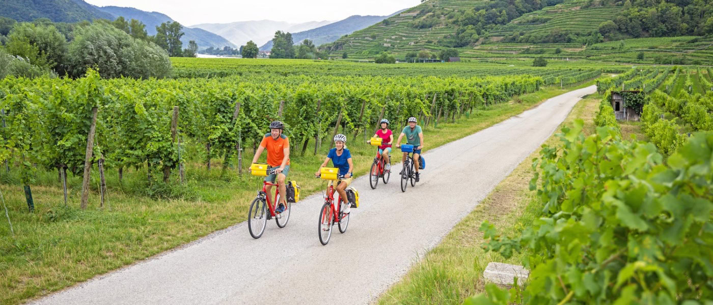 Radgruppe auf dem Donauradweg