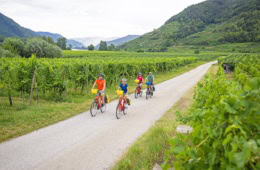 Radgruppe auf dem Donauradweg