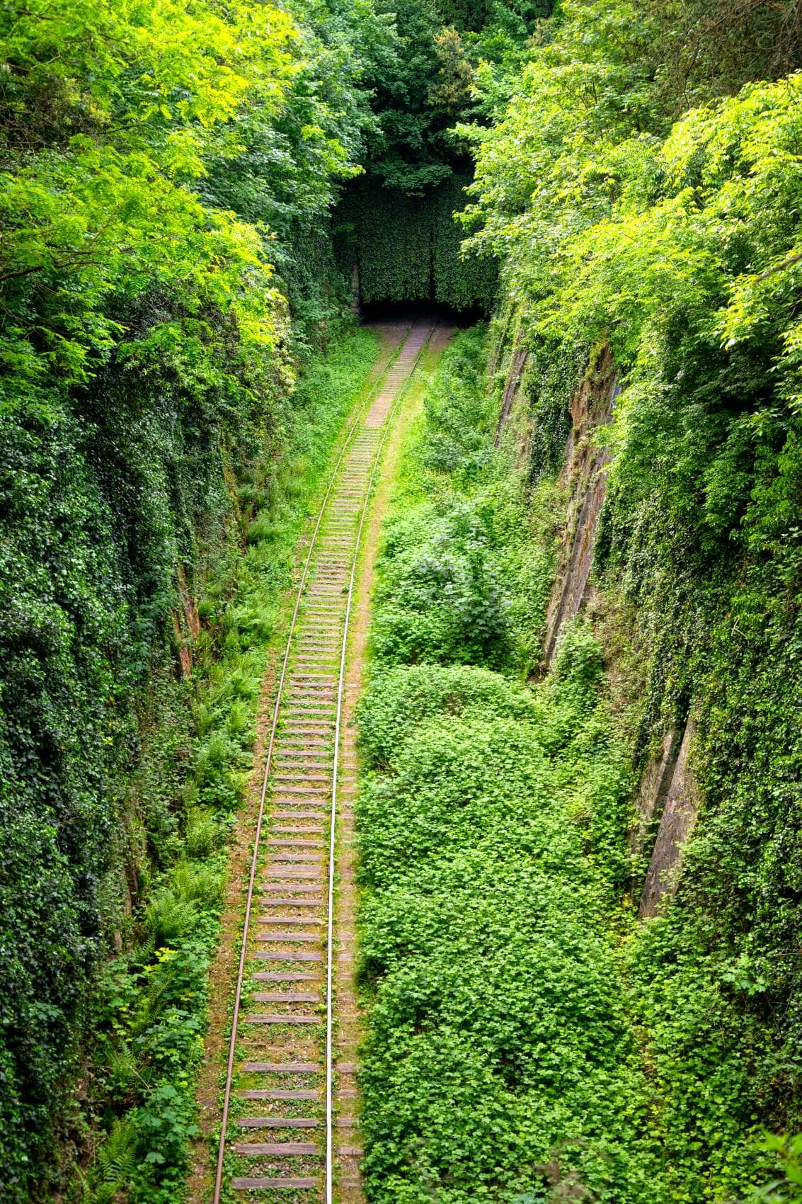 Ehemalige Eisenbahntrasse Petite Ceinture in Paris 