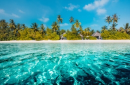 Geheimtipps Tahiti – hier entlang!