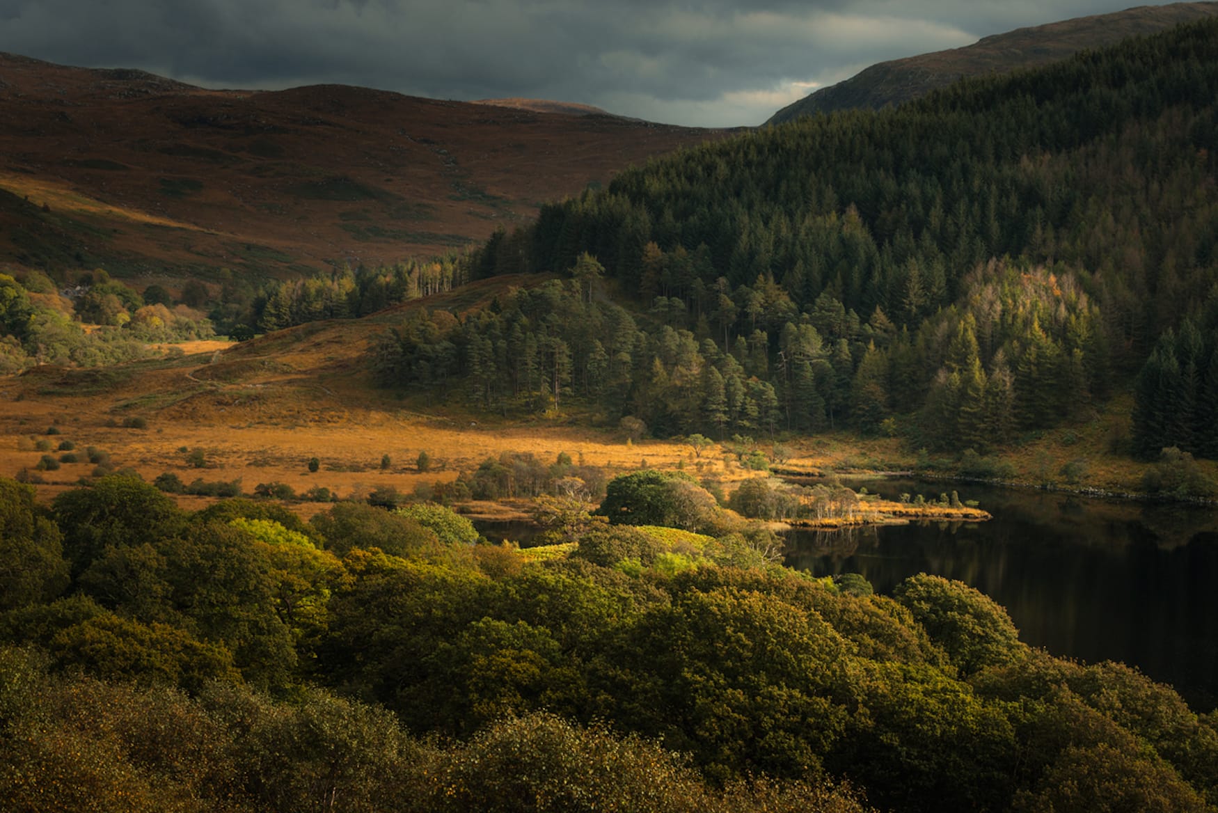 Waldgebiet Glen Head, Loch ken, Galloway in Schottland
