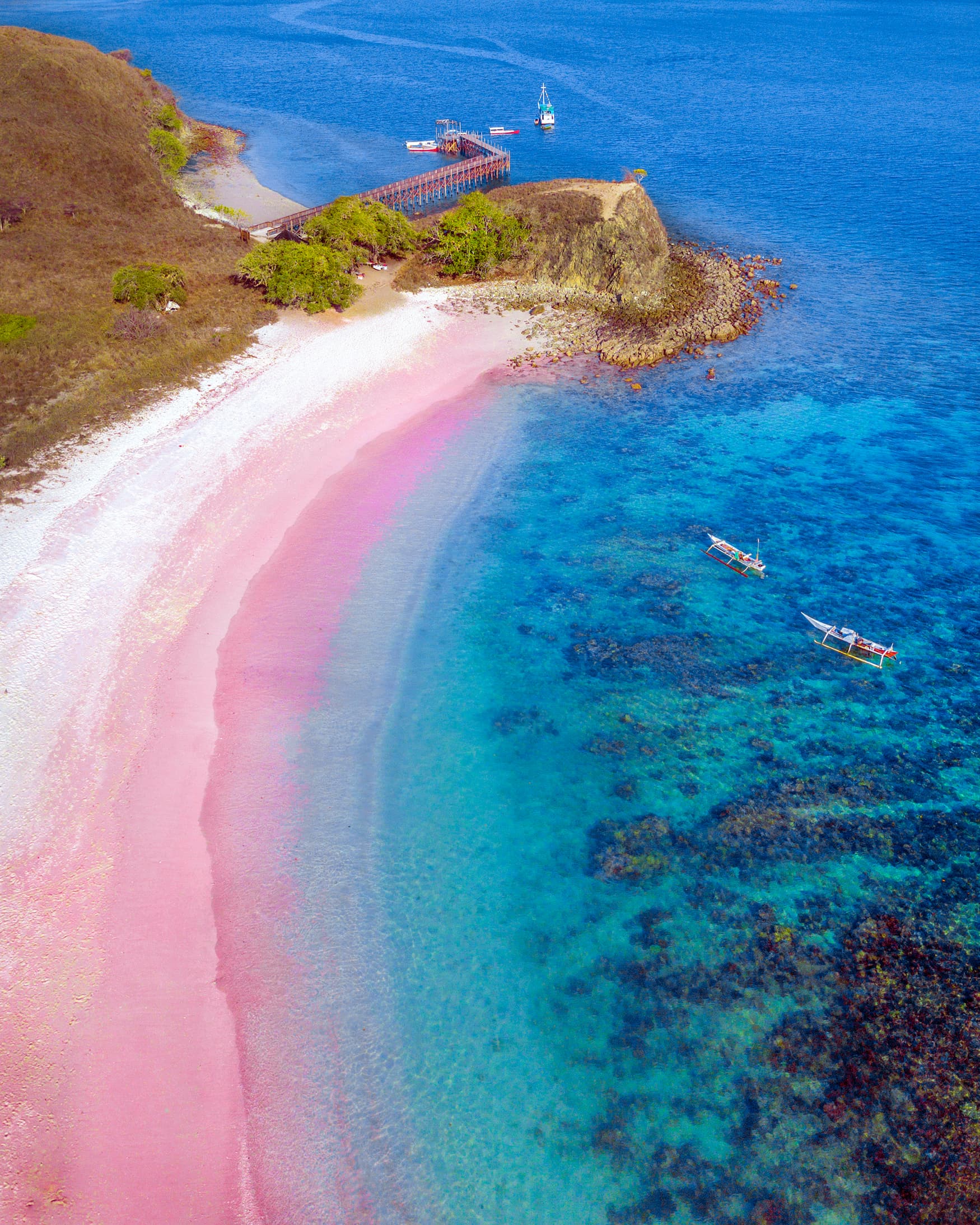Pink Beach in Komodo Islands