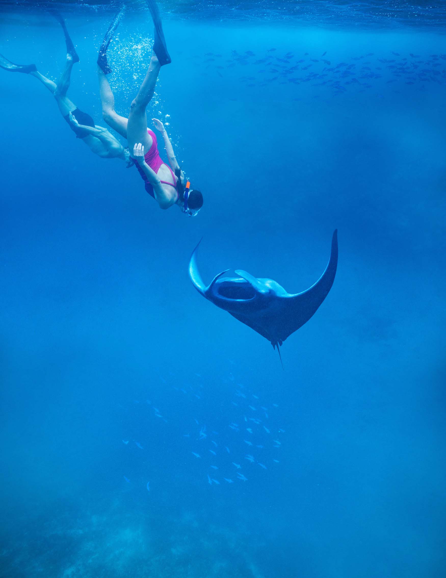 Schnorcheln mit Mantarochen auf den Malediven