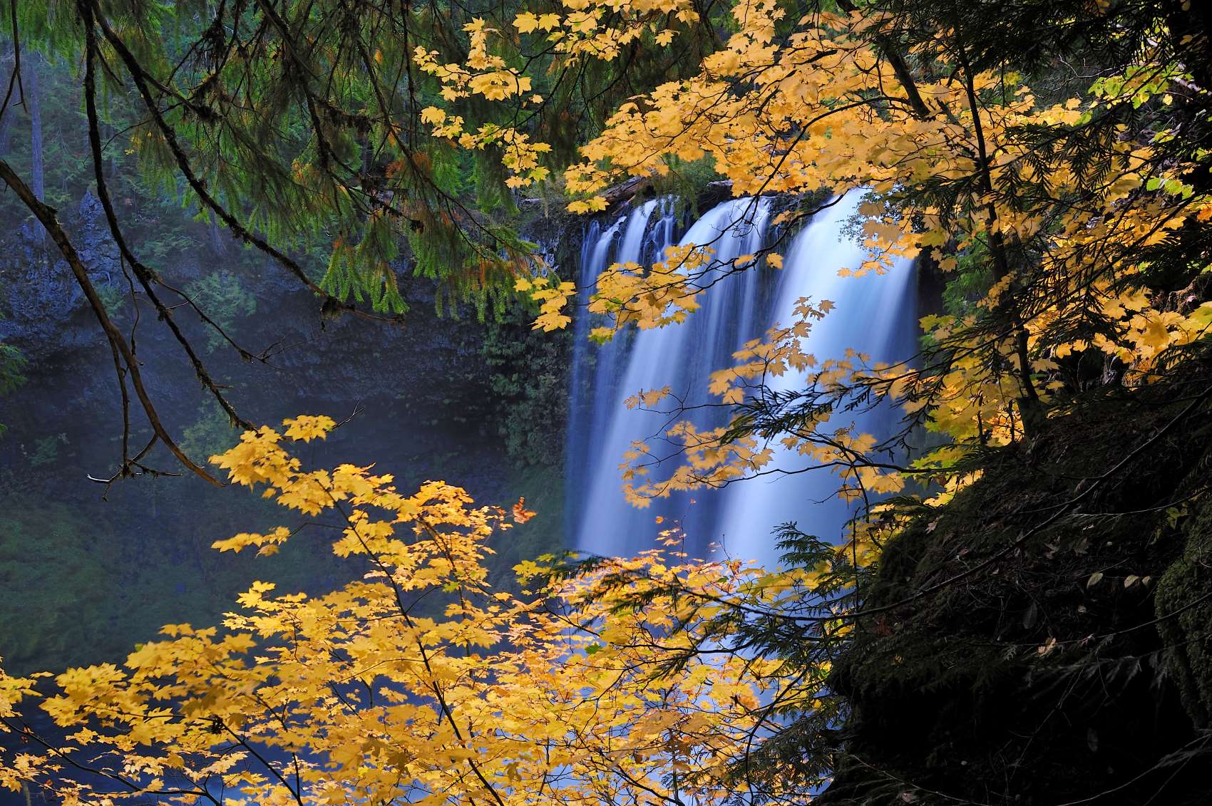 Wasserfall Sahalie Falls in Oregon 