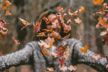 Unsere Wander-Ideen für den Herbst