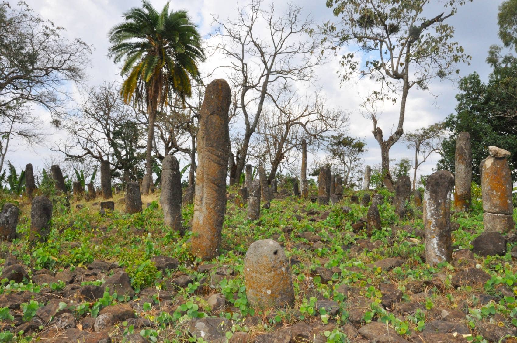 Megalithdenkmäler in Äthiopien 