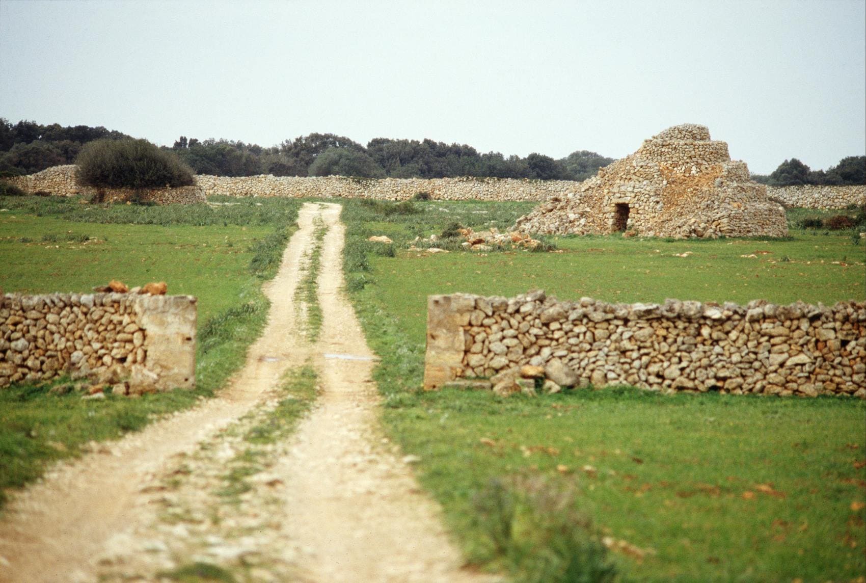 Menorca Talayotica