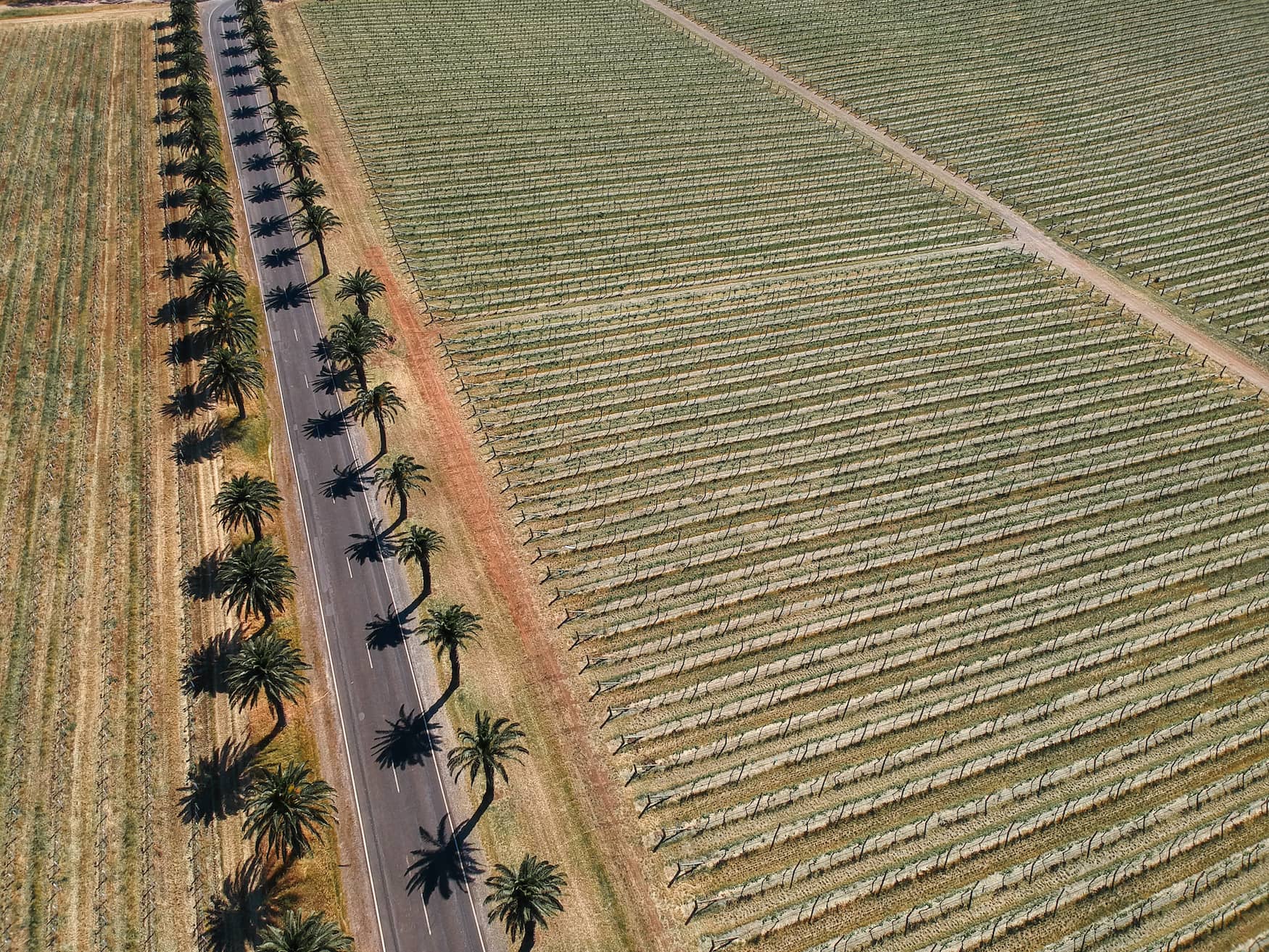 Weingebiet im Süden Australiens auf einem Roadtrip