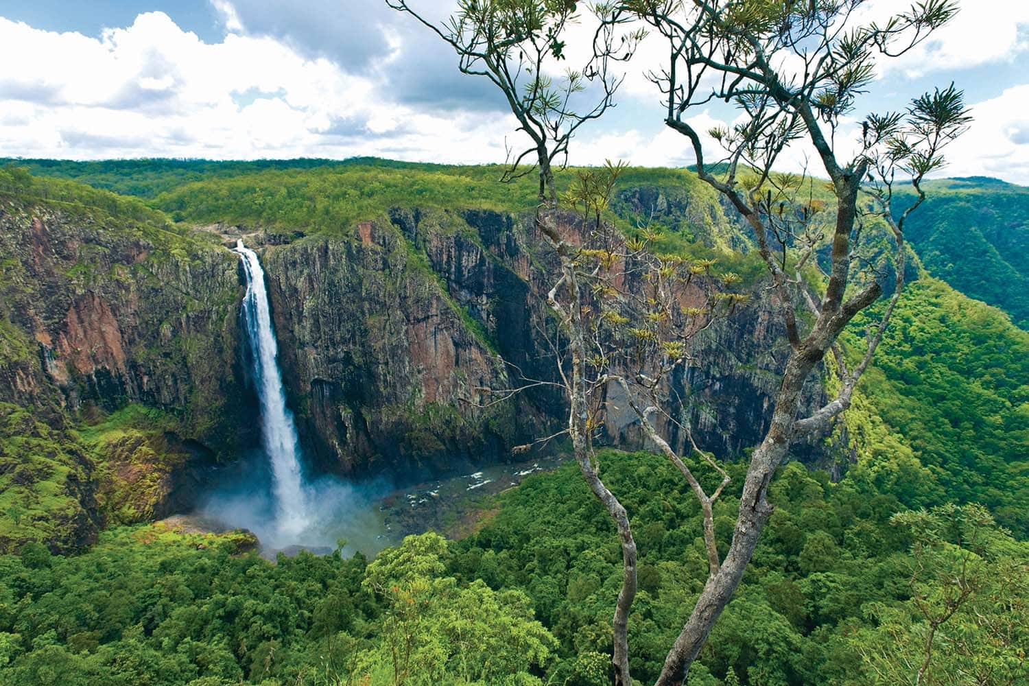 Der Wallaman Fall ist der höchste einstufige Wasserfall Australiens.