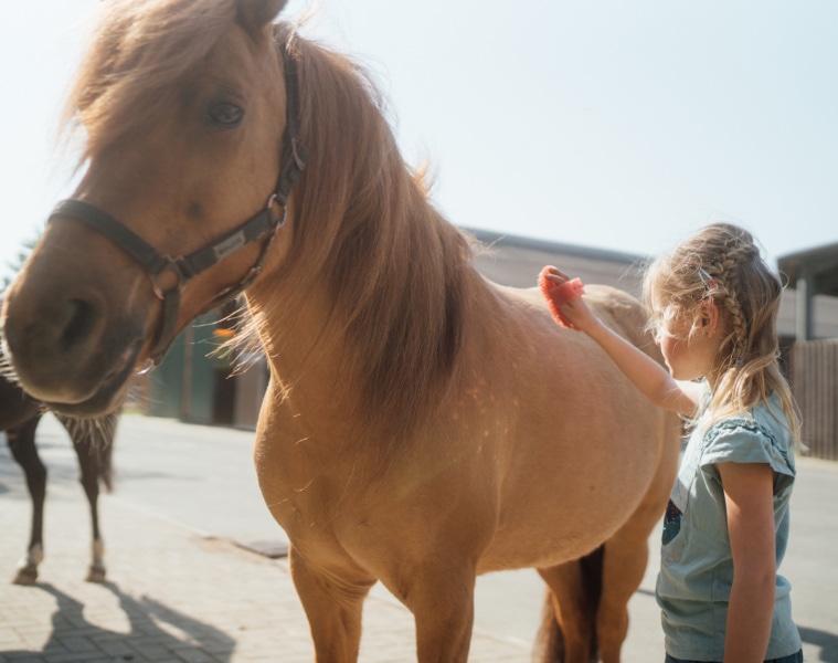 Zu einem Ausflug auf den Reiterhof gehört auch die Pflege des Ponys. I Foto: TMV/Petermann