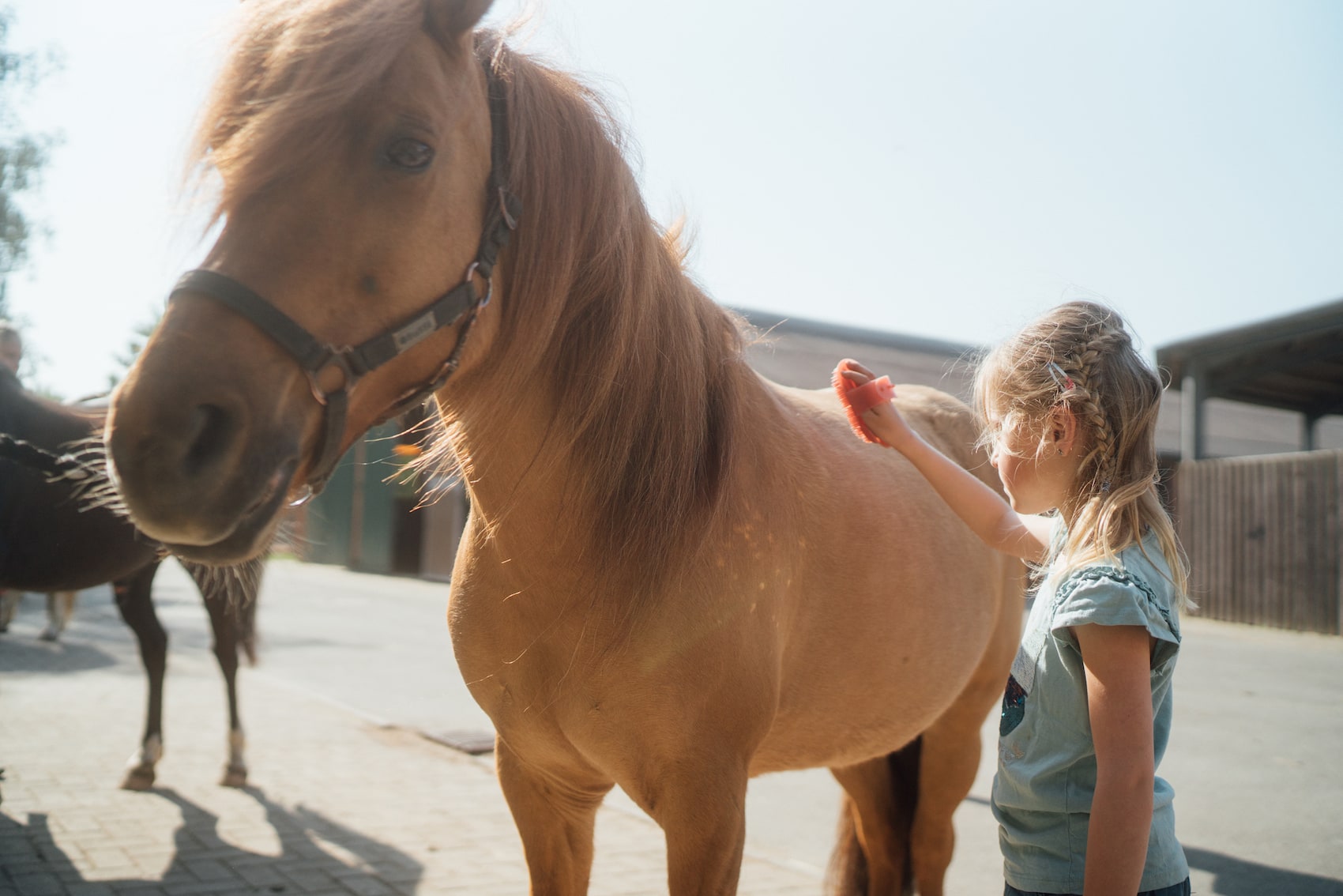 Zu einem Ausflug auf den Reiterhof gehört auch die Pflege des Ponys. I Foto: TMV/Petermann
