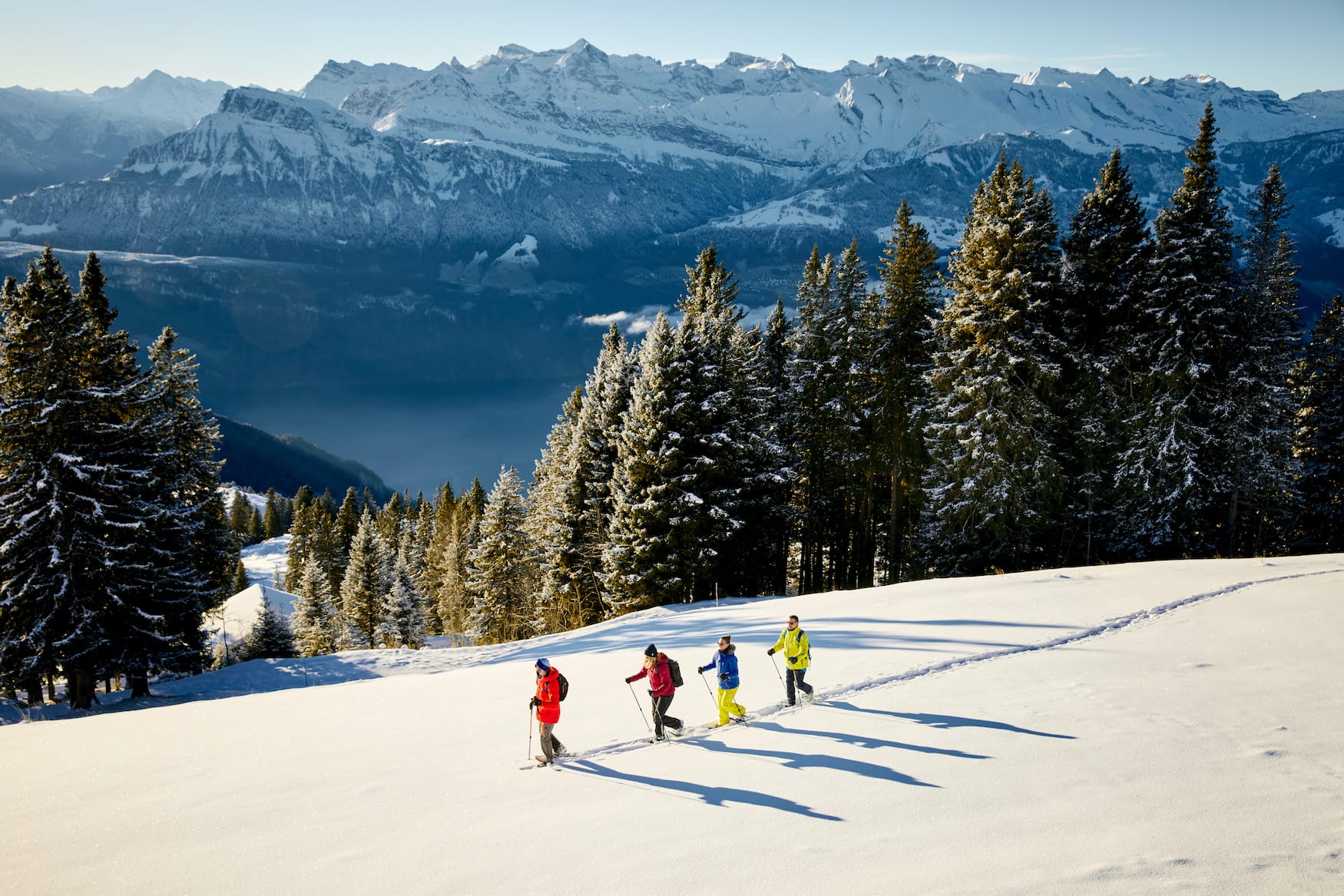 Skigebiet RIgi