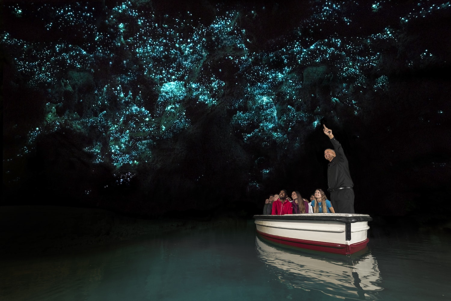 die Waitomo Glowworm Cave auf einem Roadtrip durch Neuseeland
