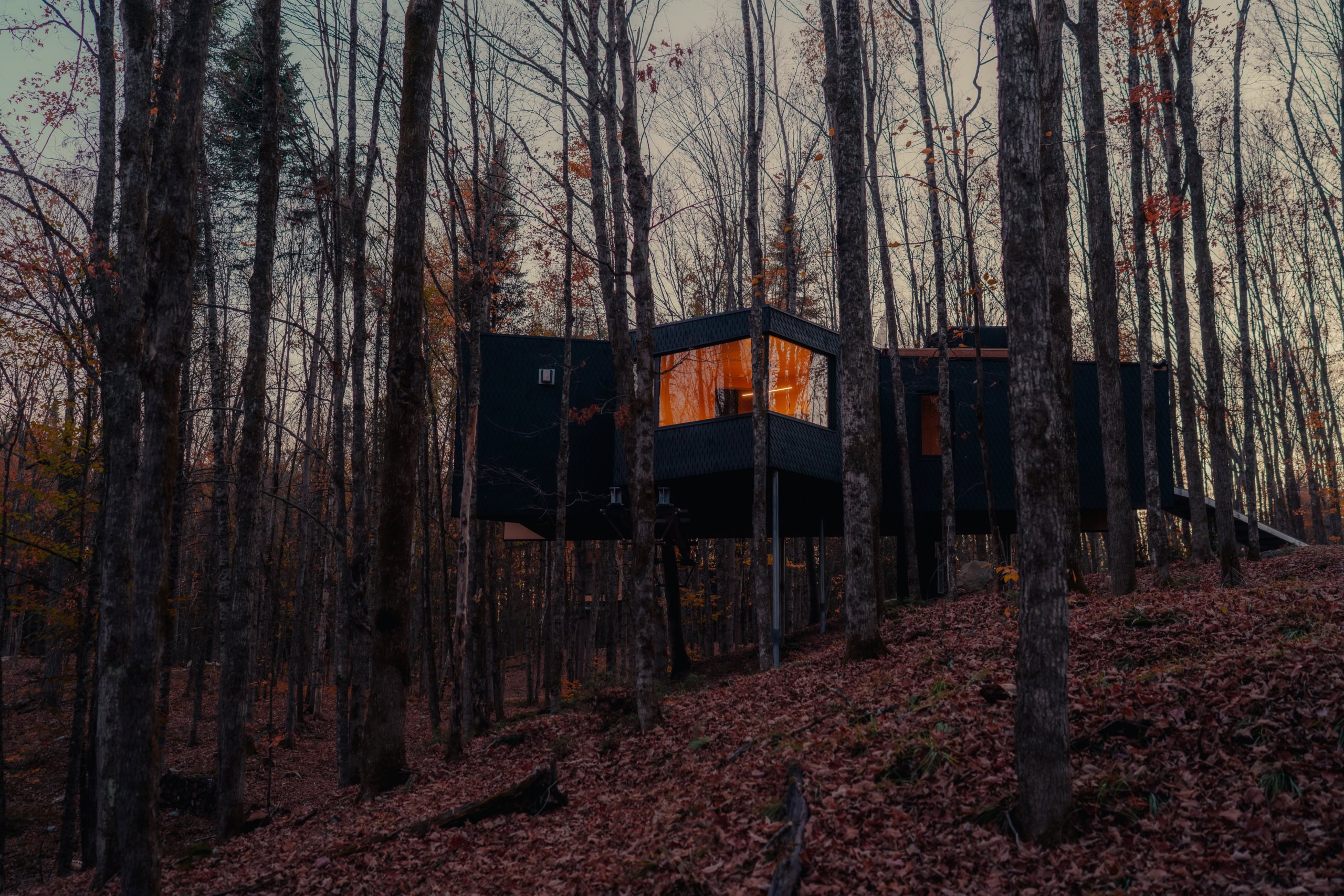 Ein Hårtwood-Baumhaus.