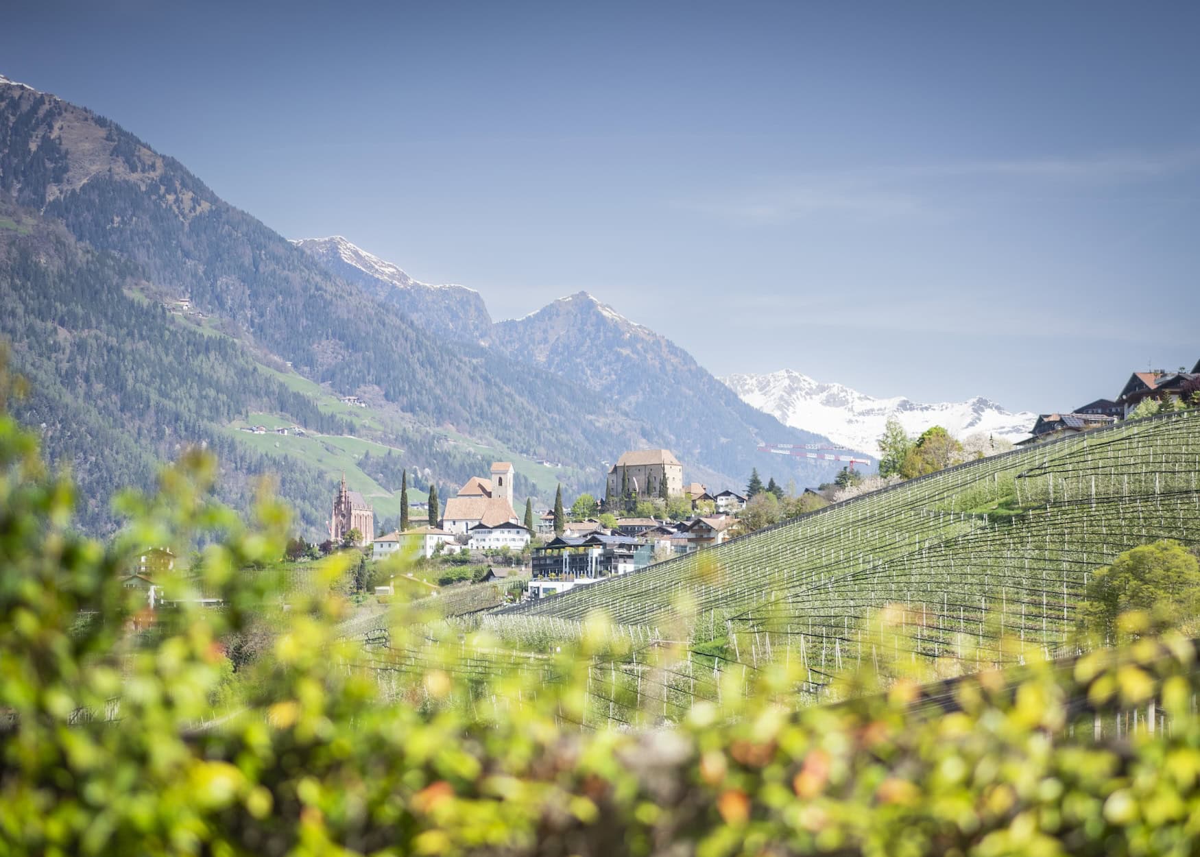 Schenna in Südtirol im Frühling