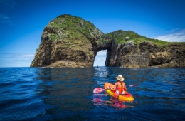 Wassersport in Neuseeland: Kayakfahren um die Poor Knights Islands