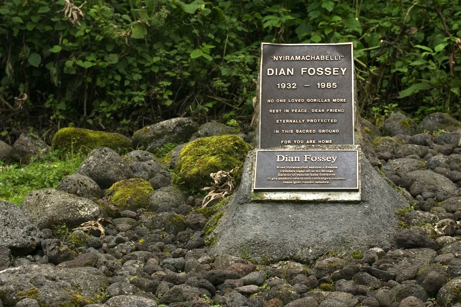 Abenteurerinnen der Geschichte: Grab von Diane Fossey