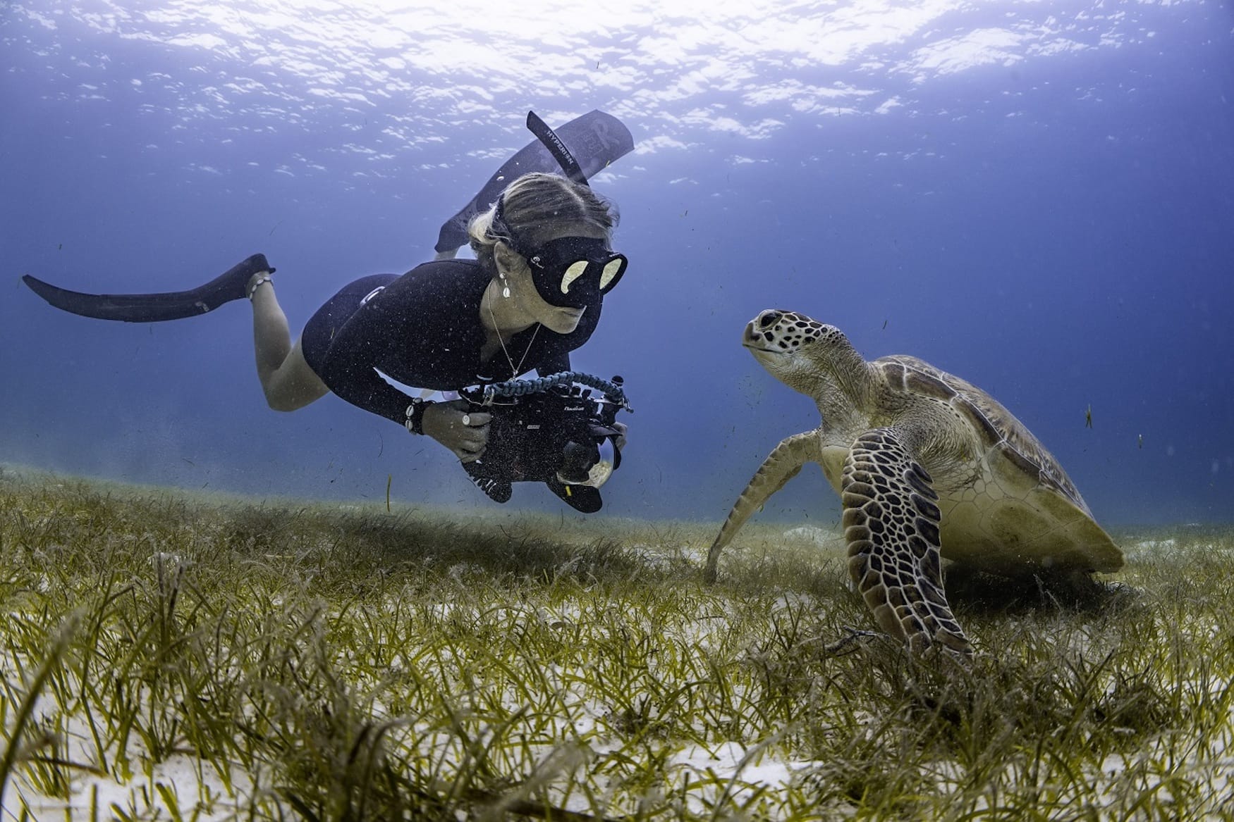 Schildkröte und Taucherin auf den Malediven