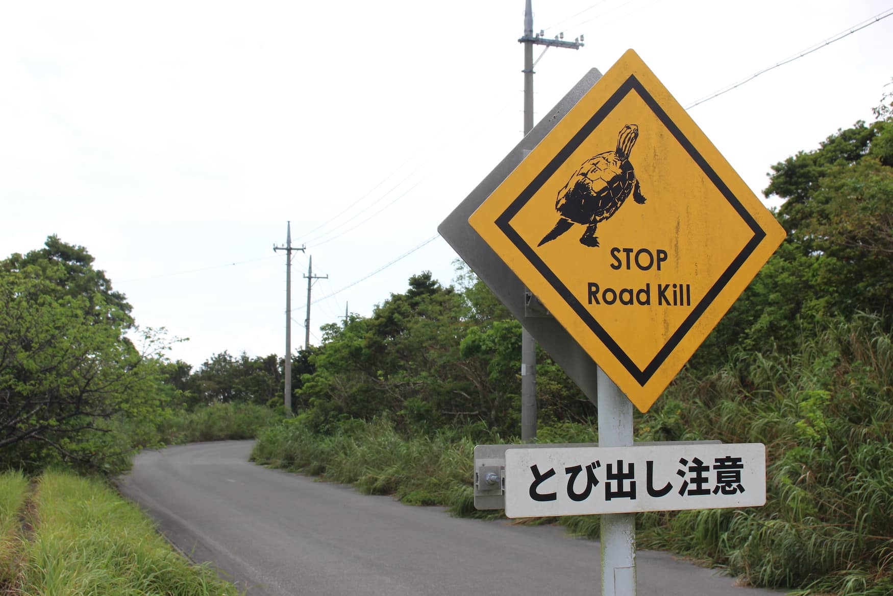 Straßenschild in Okinawa