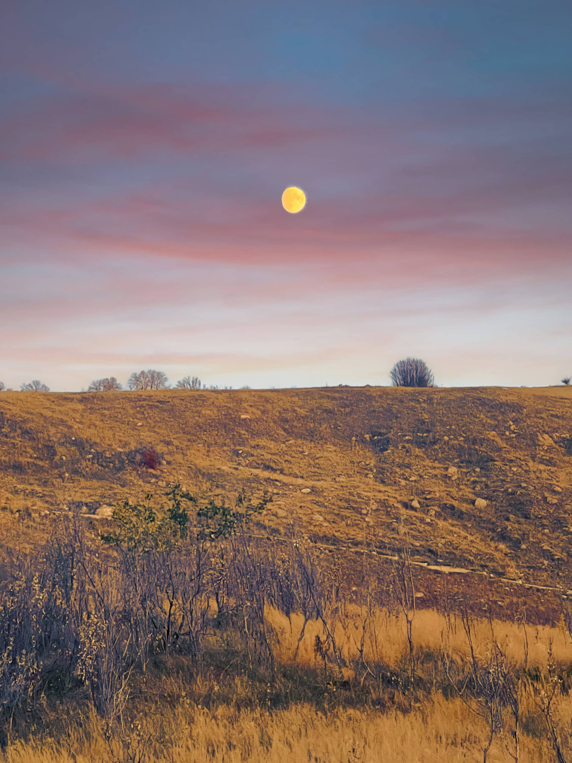Die Landschaft um wanuskewin
