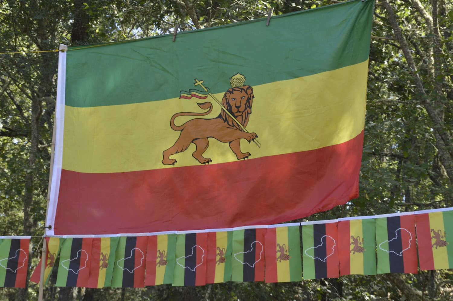 Rastafari-Flagge in Rot, Gelb und Grün mit einem Löwen