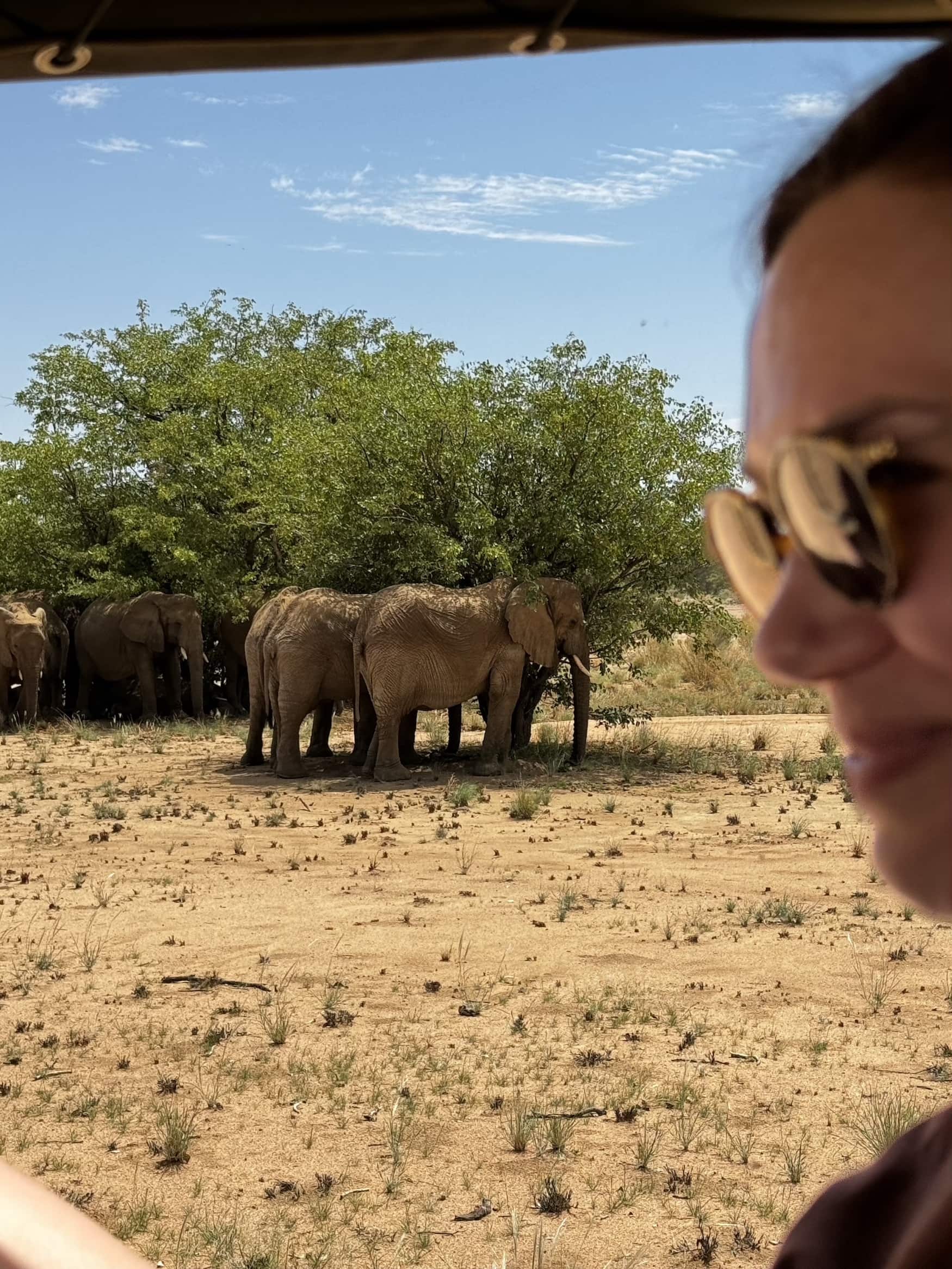 Frau auf Safari mit Elefanten