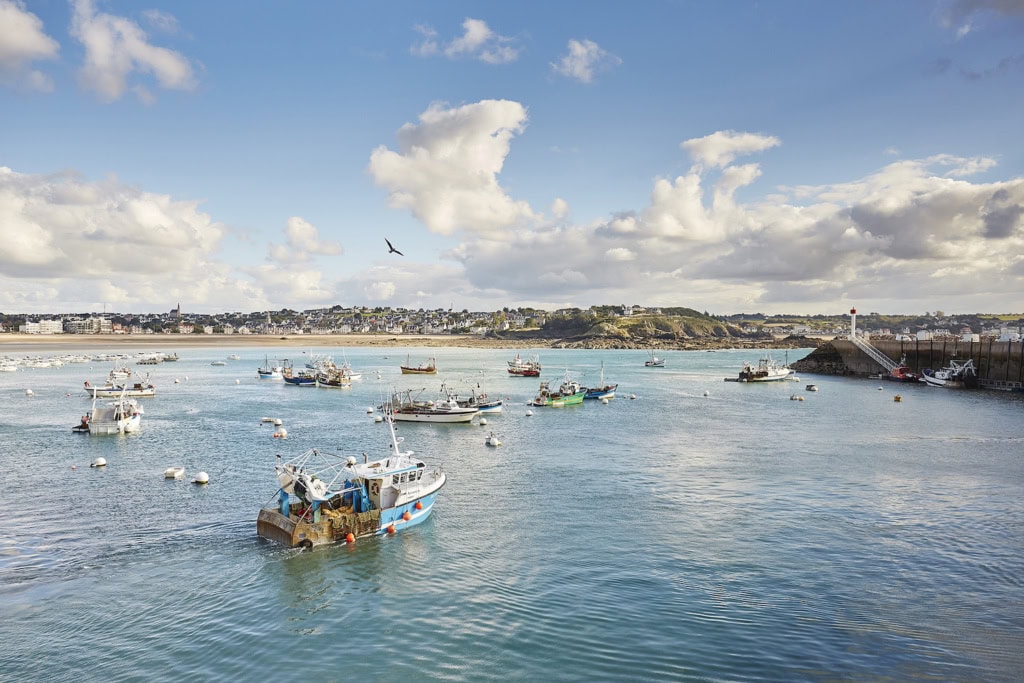 Hafen von Erguy: Meeresfrüchte aus der Bretagne