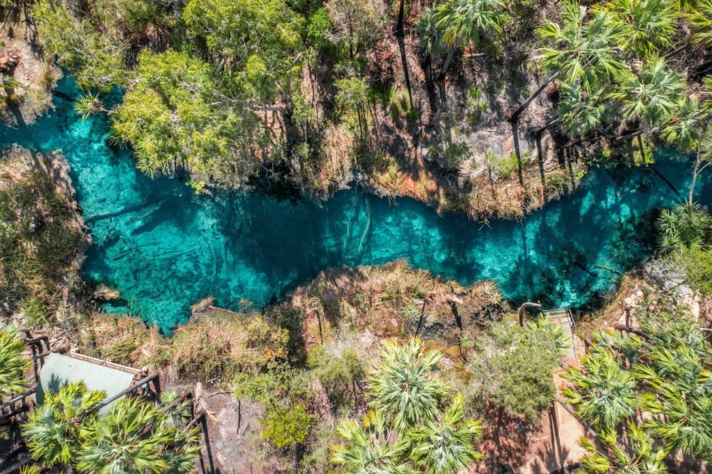 heiße Quellen in Australien: die Bitter Springs im Northern Territory