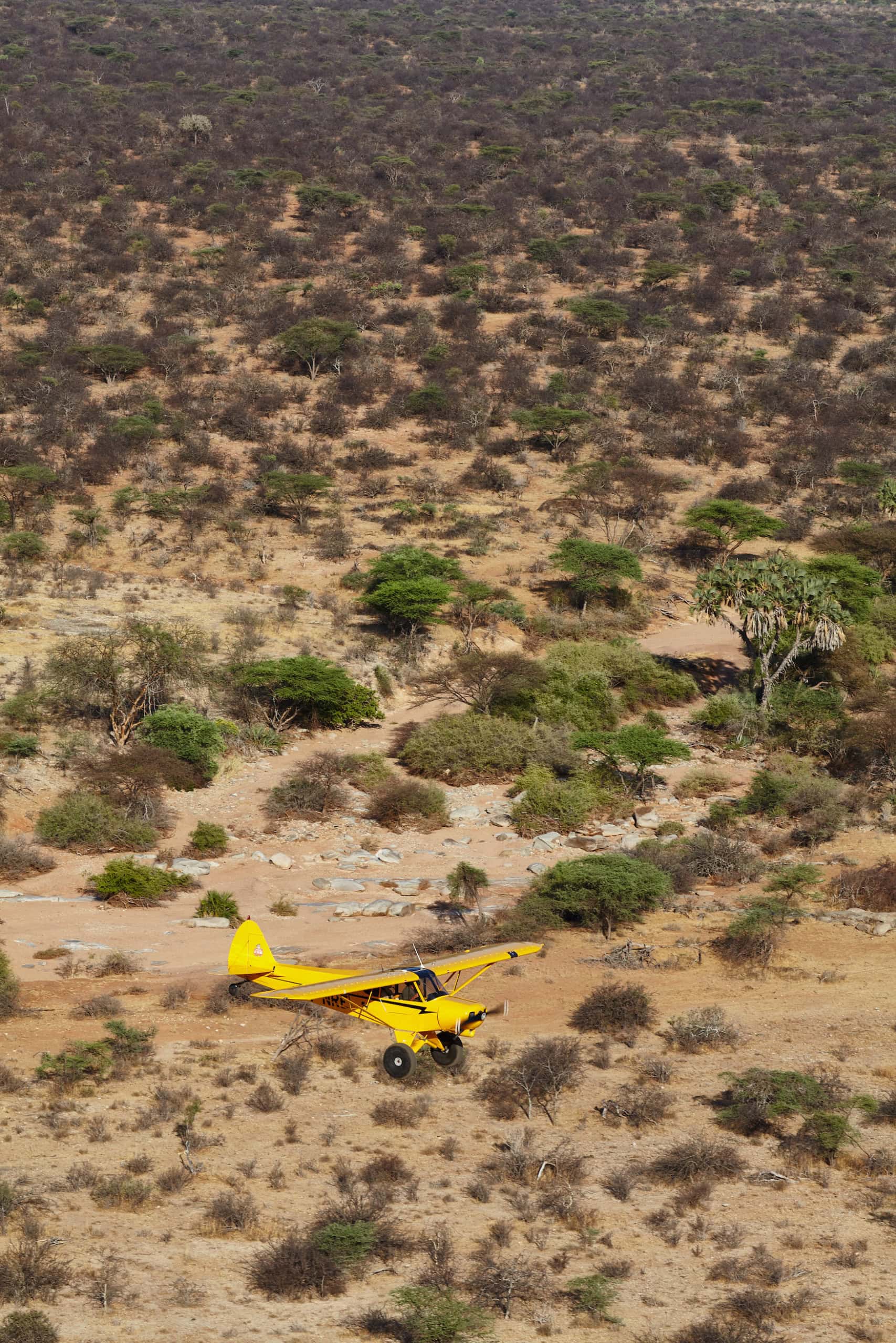 Flugzeug in der Savanne von Kenia