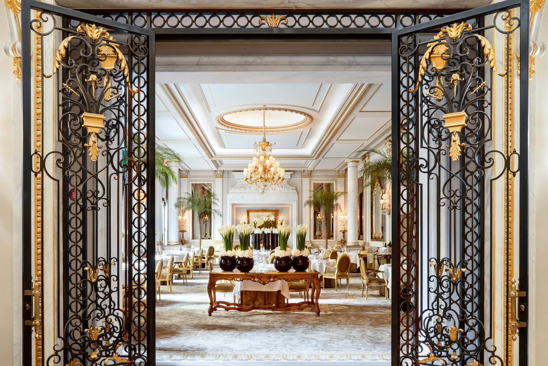 die besten Hotels in Paris: Eingangshalle im Four Seasons George V 