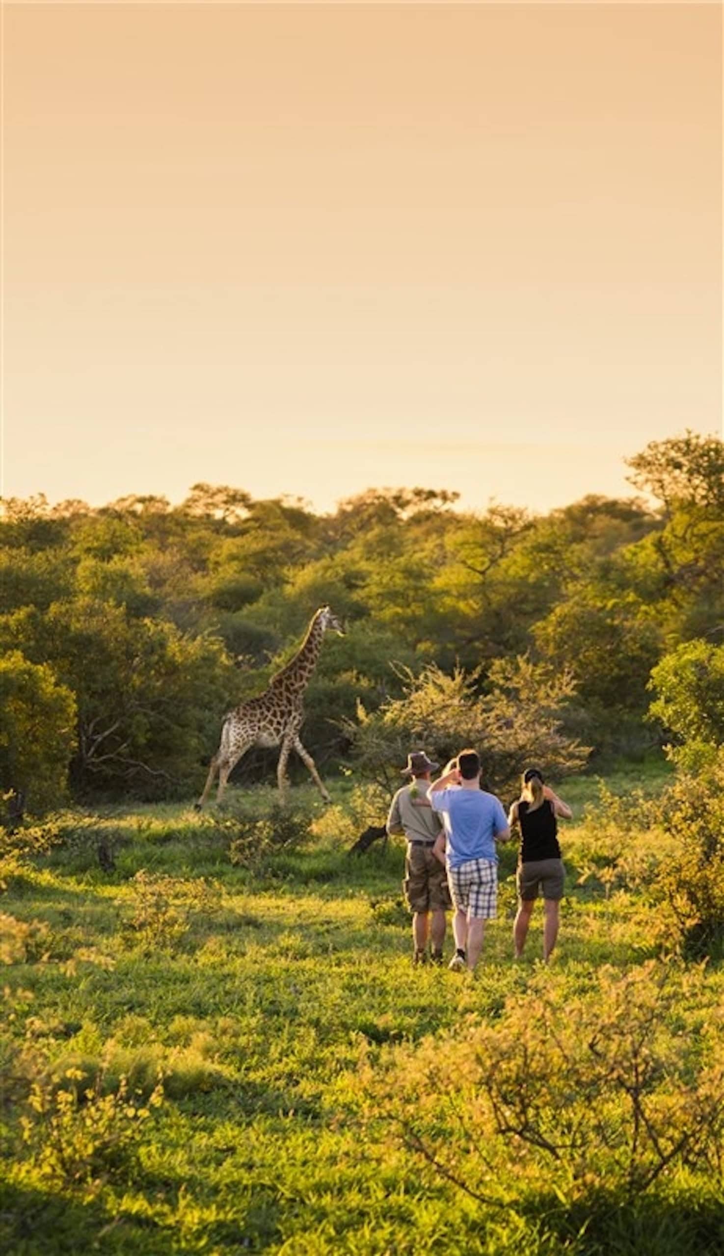 Menschen bei einer Safari in Südafrika