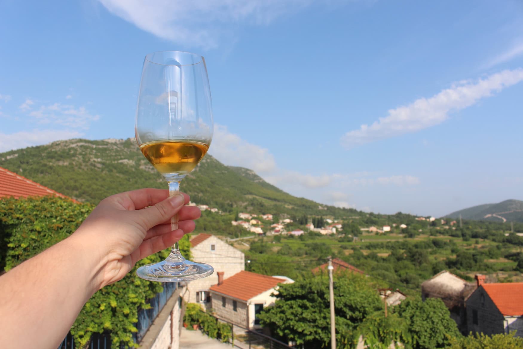 Weintasting im Süden von Kroatien