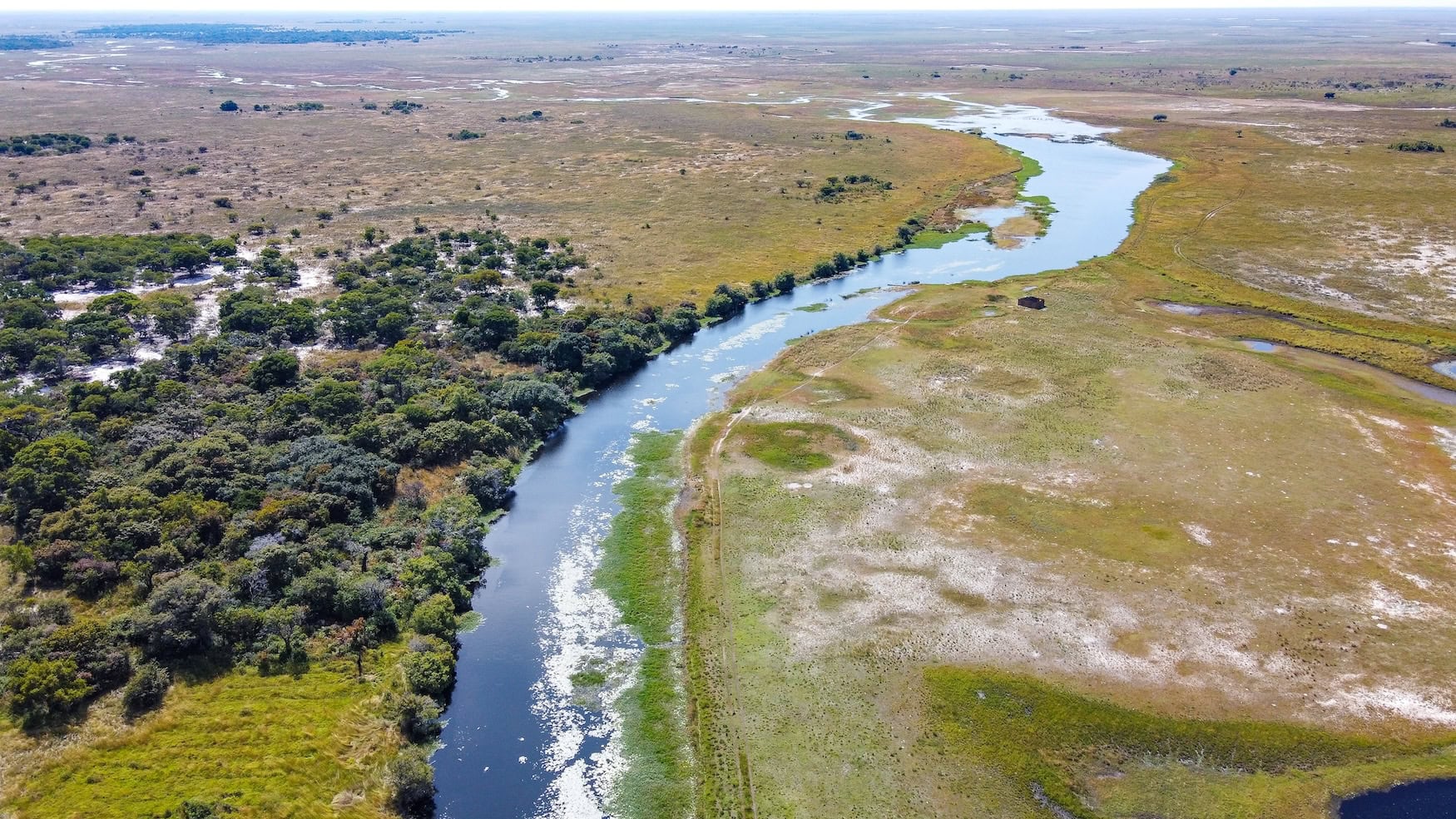 Safari in Sambia in den Liuwa Plains