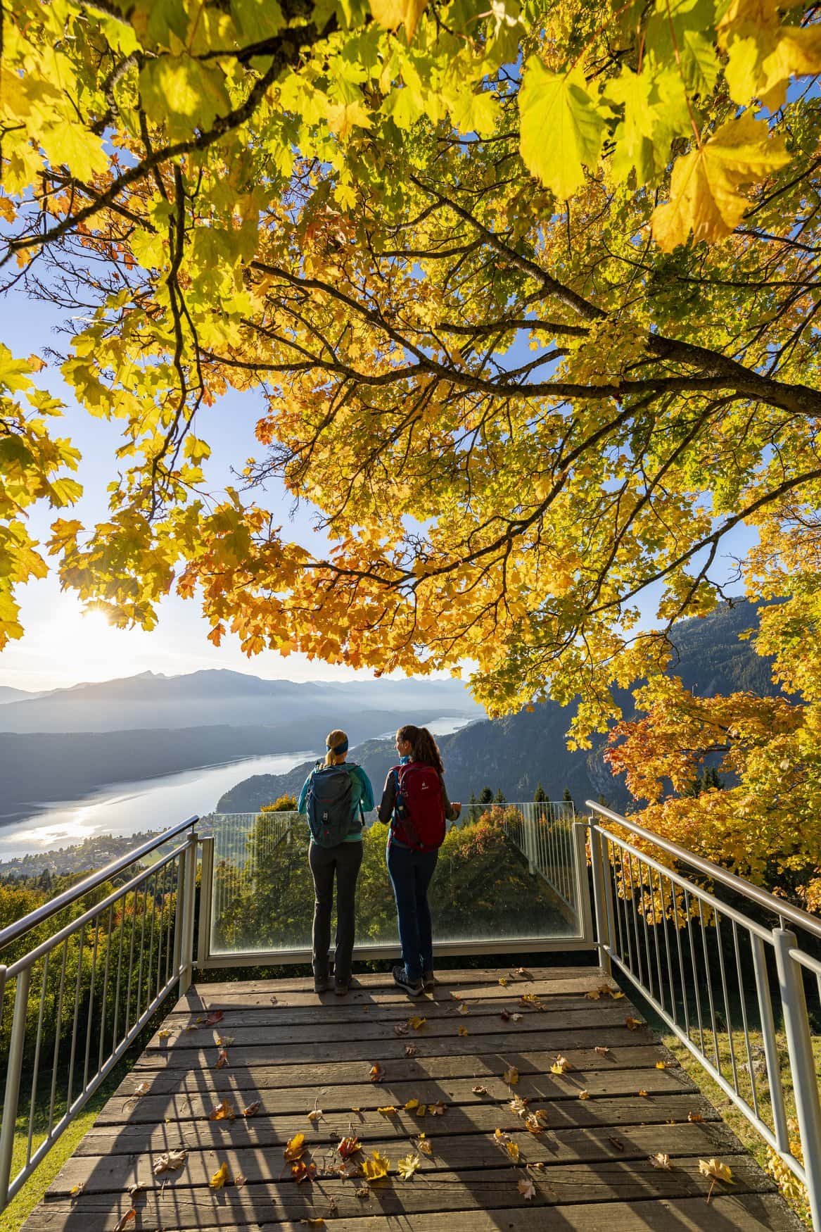 Zwei Wandernde stehen auf der Aussichtsplattform Sternenbalkon Gschriet und blicken über den Millstätter See. Über ihnen leuchten die gelben Blätter eines Ahorns im Gegenlicht.