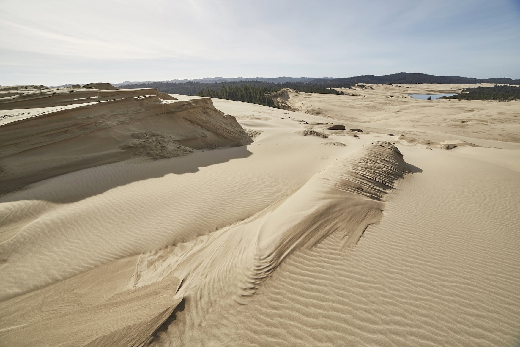 Dünenlandschaft in Oregon