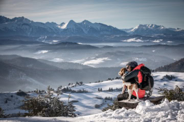 Mensch mit Hund in den Alpen im Winter am Wandern