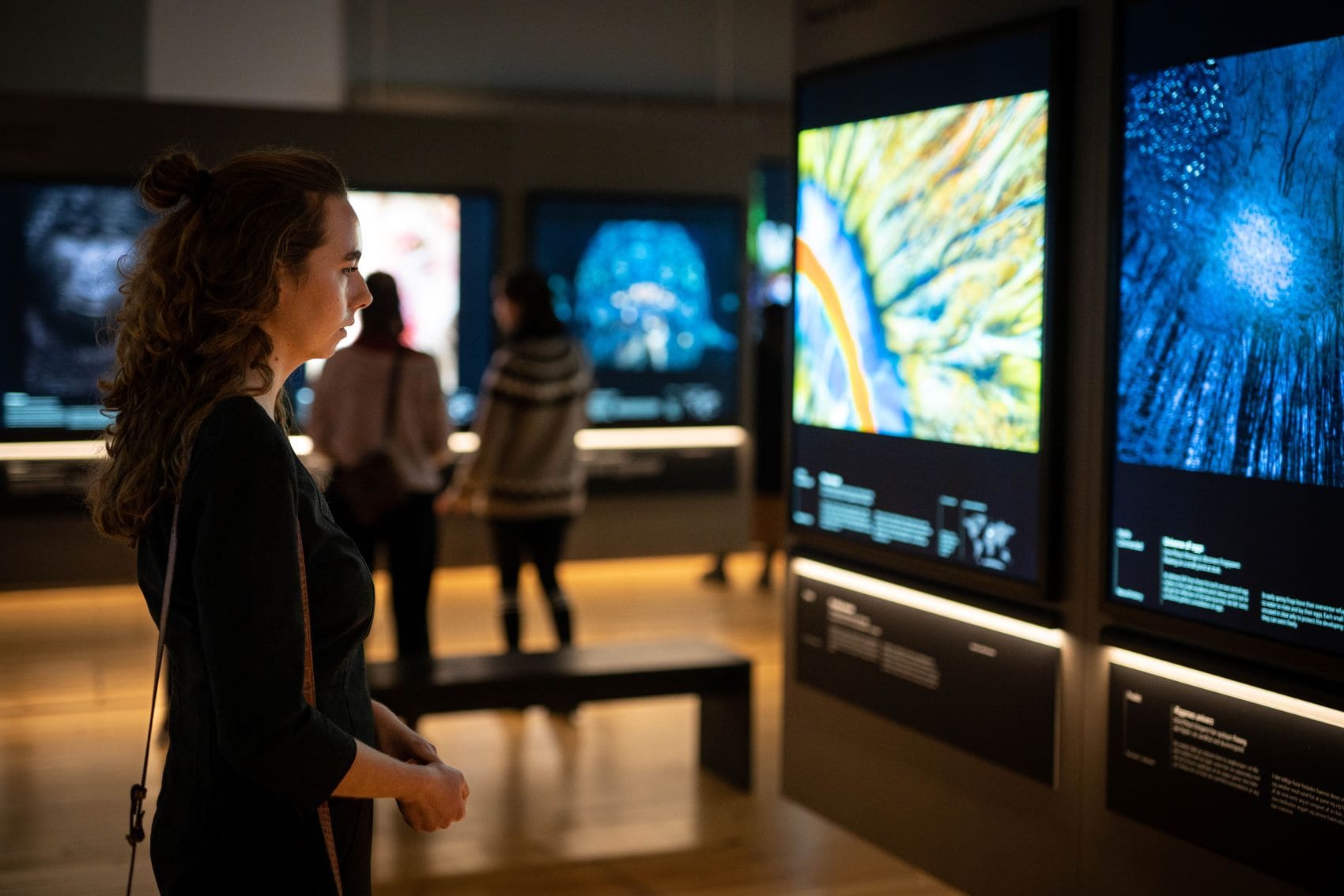 Frau schaut sich Ausstellung im Natural History Museum Denmark an.