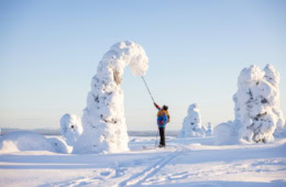 Eingeschneite Bäume in Ruka-Kuusamo