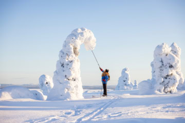 Eingeschneite Bäume in Ruka-Kuusamo