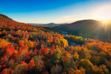 Ein bunt gefärbter Wald im US-Bundesstaat New York.