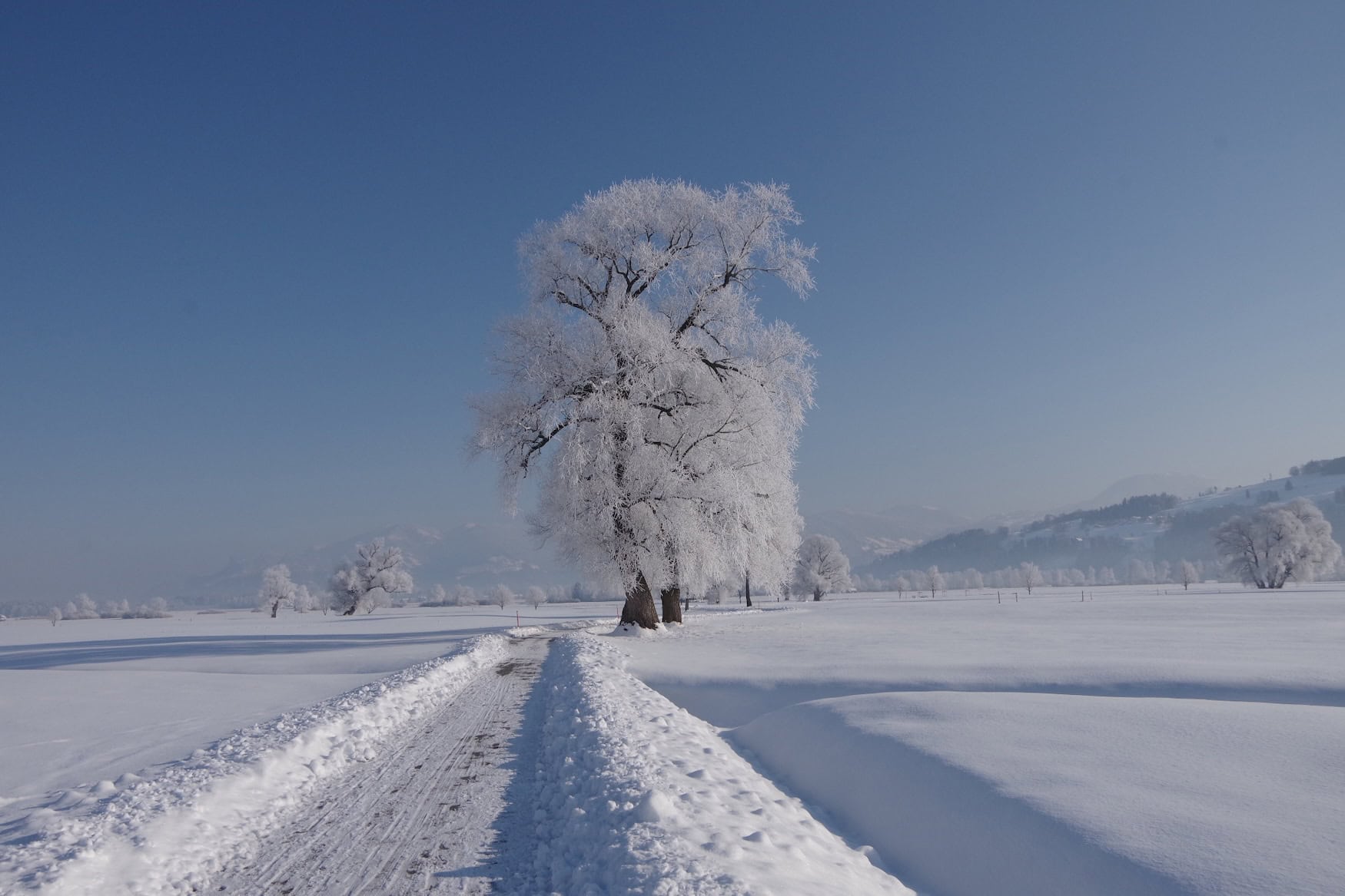 Ruggeller Riet in Liechtenstein