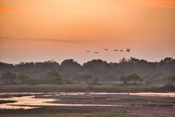 Morgenstimmung im Yala-Nationalpark.