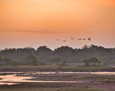 Morgenstimmung im Yala-Nationalpark.