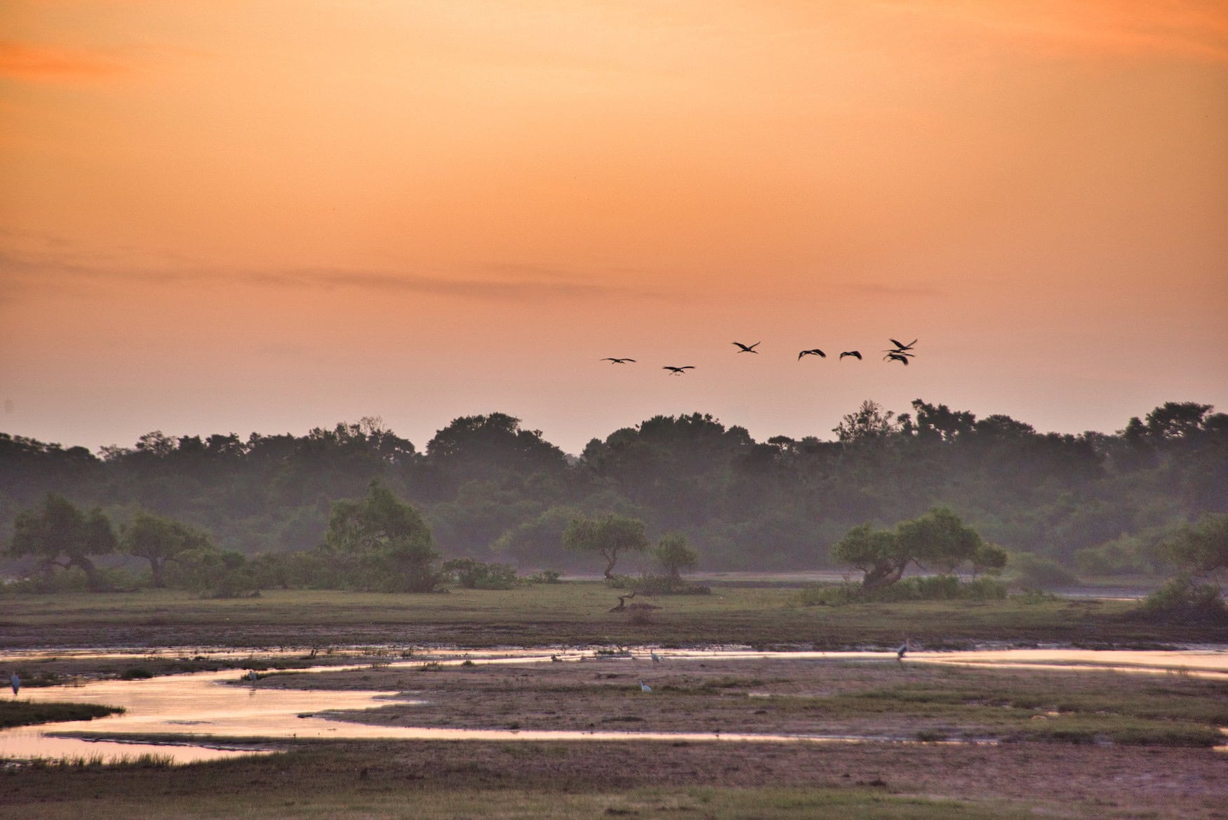 Yala-Nationalpark-Die-wilde-Seite-Sri-Lankas