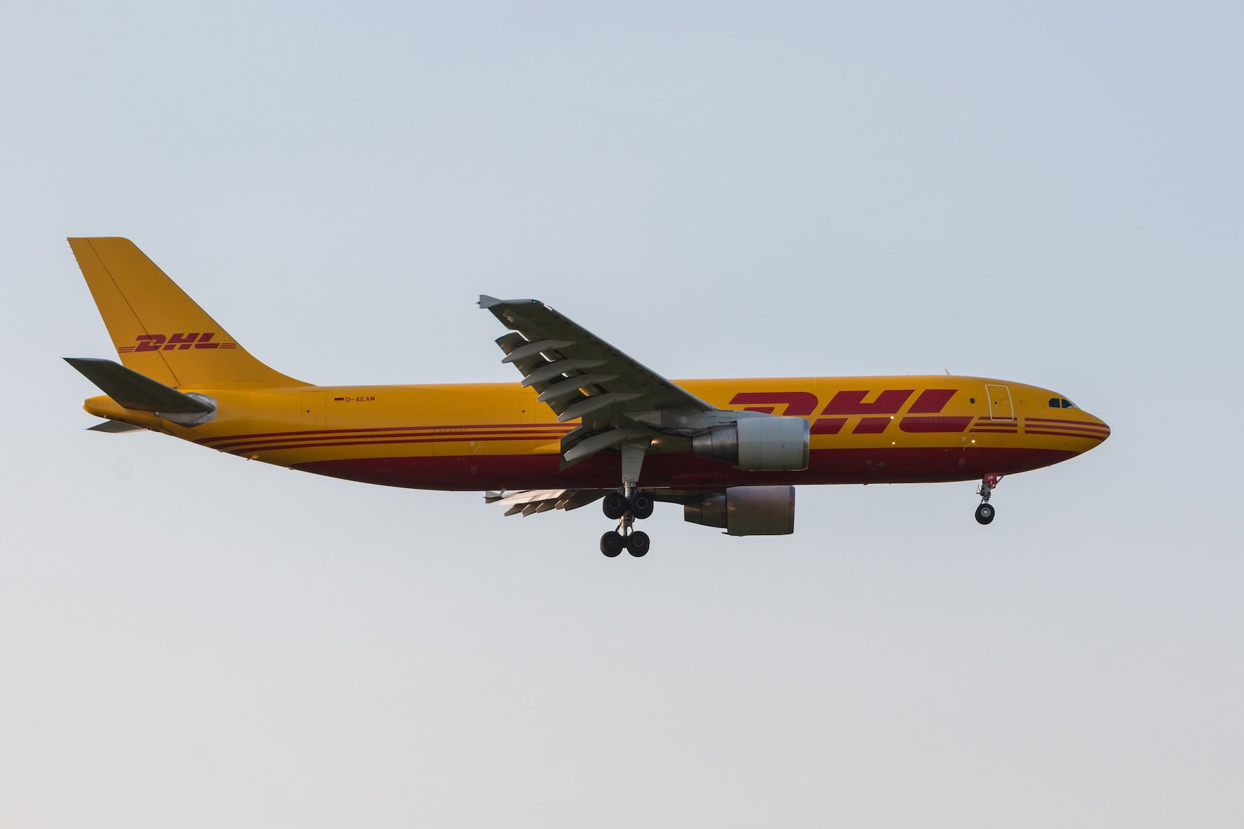 die-au-ergew-hnlichsten-dhl-lieferungen-2024